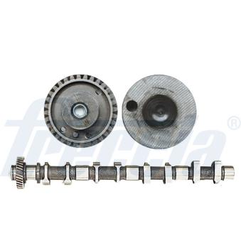 Arbre à came FRECCIA CM05-2260