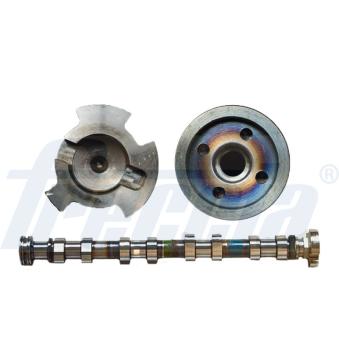 Arbre à came FRECCIA