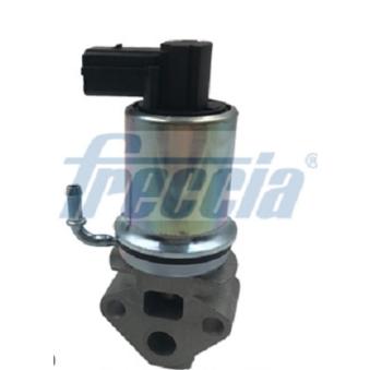 Vanne EGR FRECCIA EGR12-147
