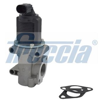 Vanne EGR FRECCIA
