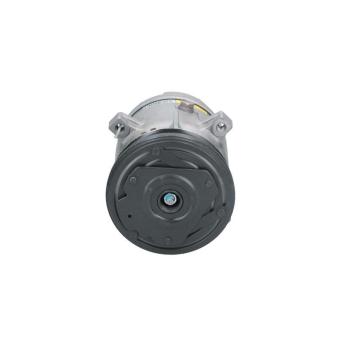 Compresseur, climatisation BV PSH 090.105.016.000