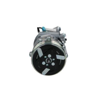 Compresseur, climatisation BV PSH