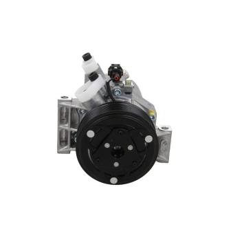 Compresseur, climatisation BV PSH 090.165.021.200