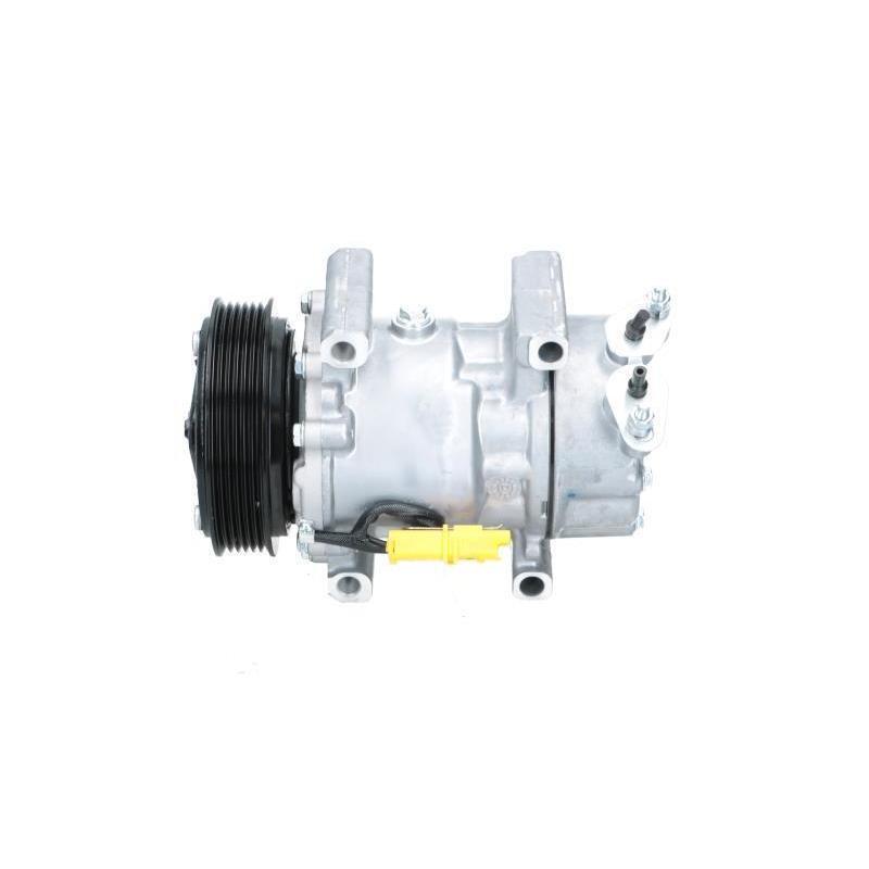 Compresseur, climatisation BV PSH 090.225.010.876 - Visuel 1