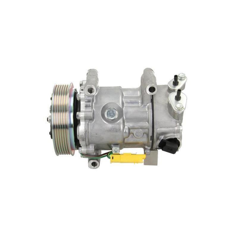 Compresseur, climatisation BV PSH 090.225.025.876 - Visuel 1