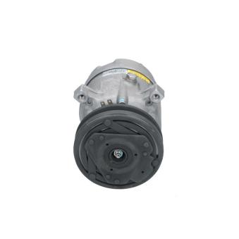 Compresseur, climatisation BV PSH 090.235.010.040