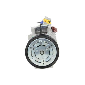 Compresseur, climatisation BV PSH 090.305.021.090