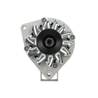 Alternateur BV PSH 305.008.065.090