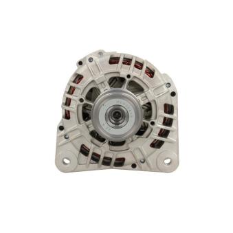 Alternateur BV PSH 305.525.120.000