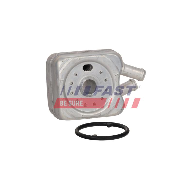 Radiateur d'huile, boîte de vitesse manuelle FAST FT00655 - Visuel 1