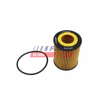 Filtre à huile FAST FT01335