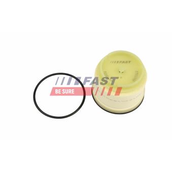 Filtre à carburant FAST