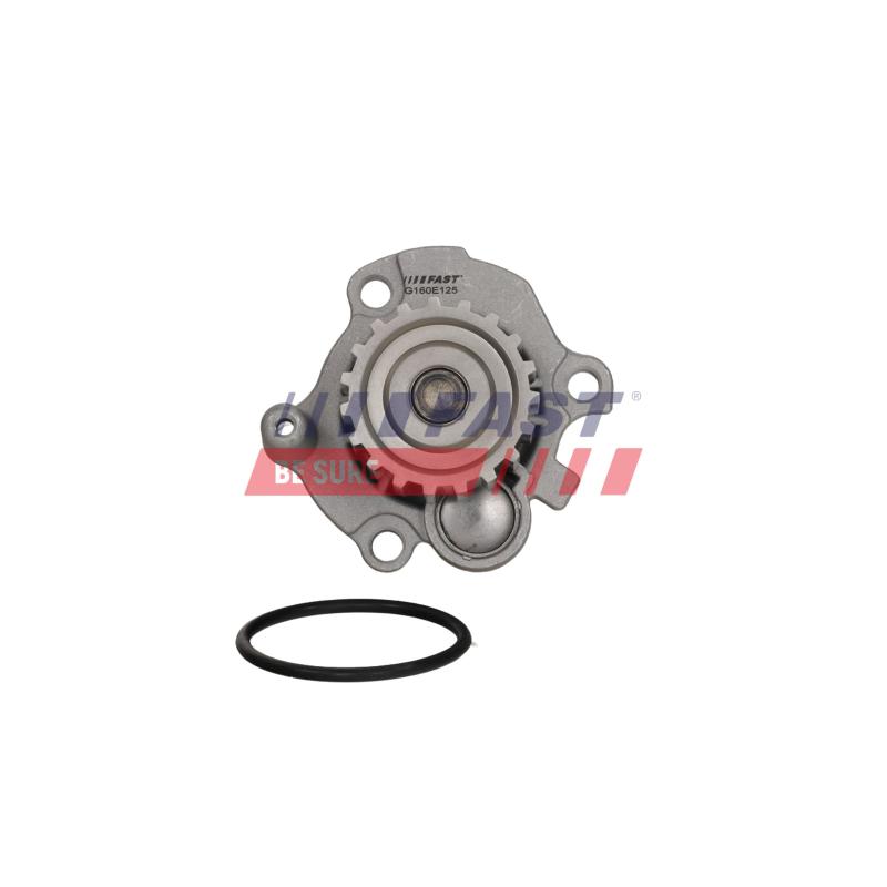 Pompe à eau, refroidissement du moteur FAST FT04446 - Visuel 3