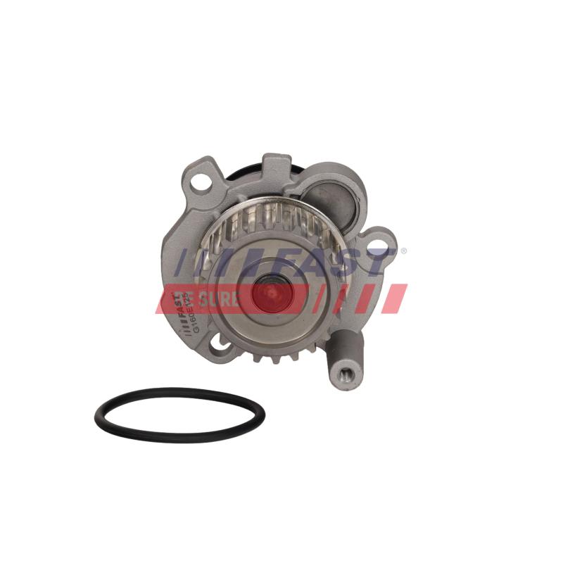 Pompe à eau, refroidissement du moteur FAST FT04449 - Visuel 3