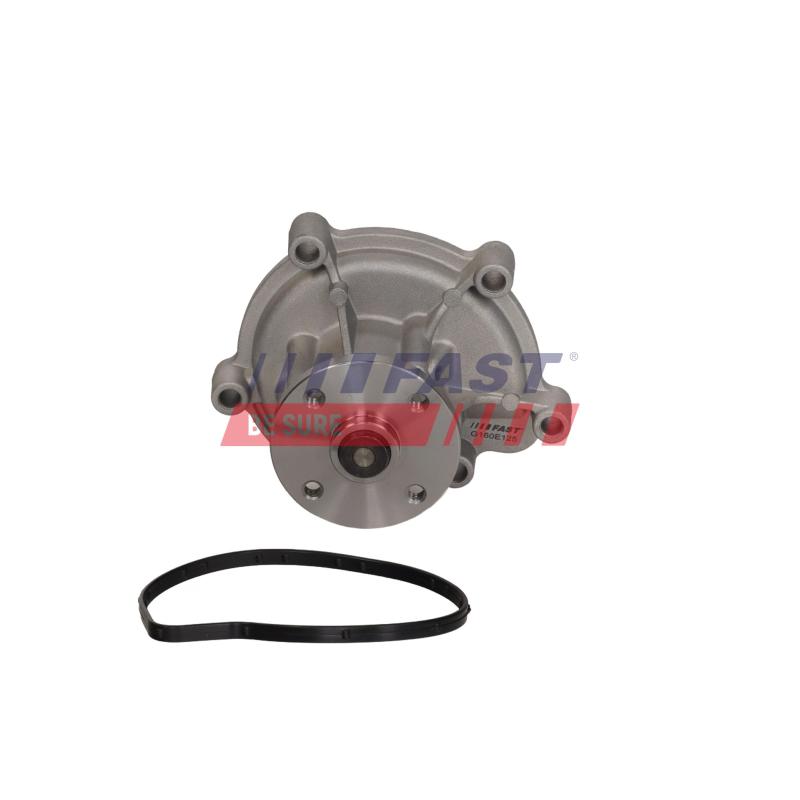 Pompe à eau, refroidissement du moteur FAST FT04460 - Visuel 3