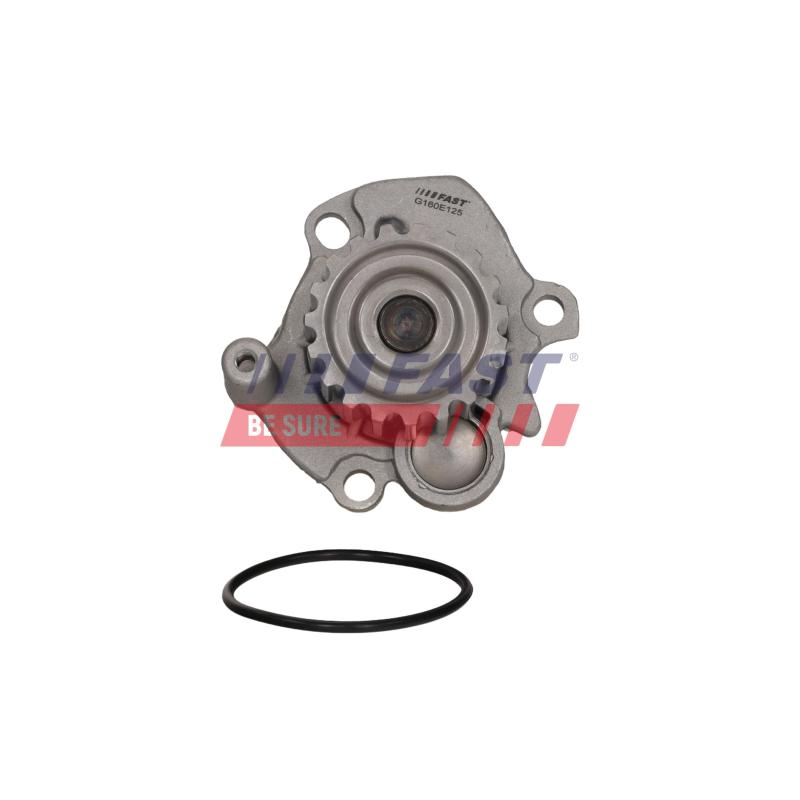 Pompe à eau, refroidissement du moteur FAST FT04463 - Visuel 3