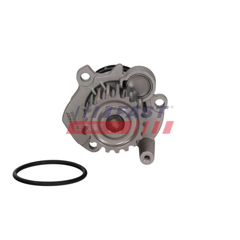 Pompe à eau, refroidissement du moteur FAST FT04467 - Visuel 3