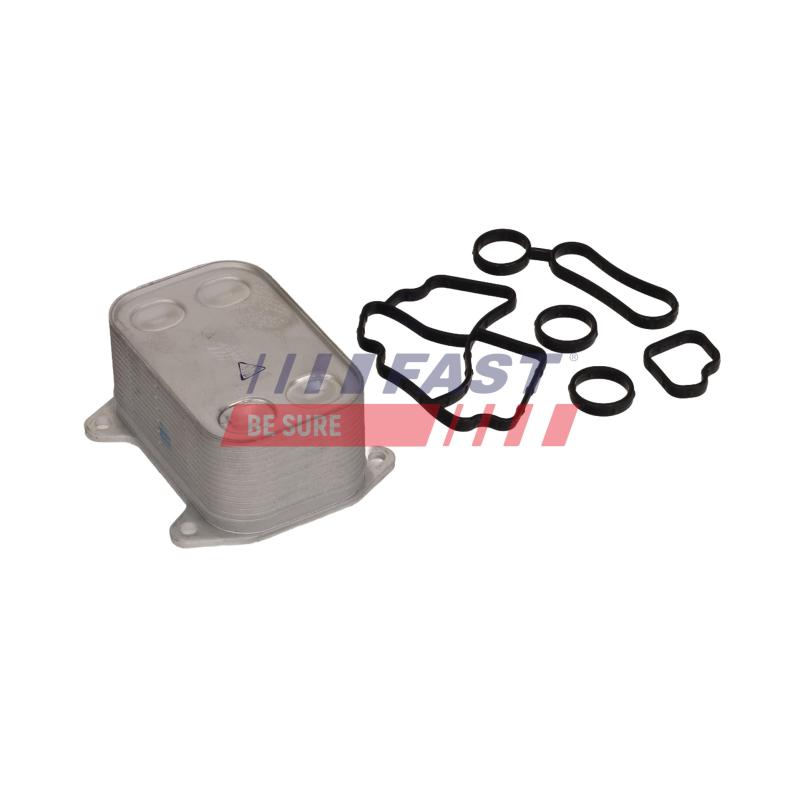 Radiateur d'huile FAST FT10985 - Visuel 1
