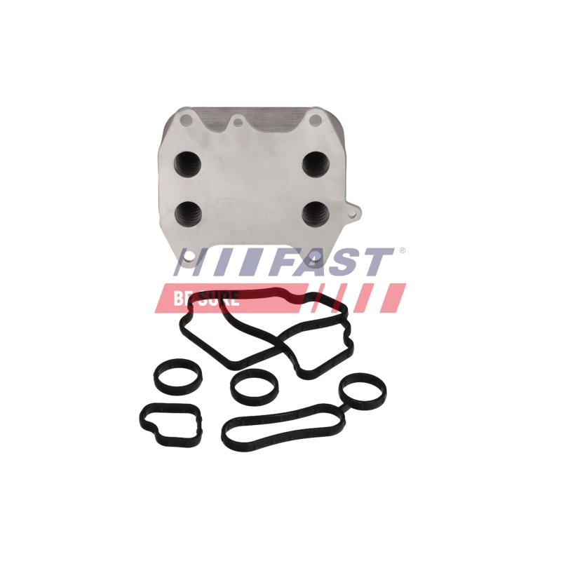 Radiateur d'huile FAST FT10985 - Visuel 3