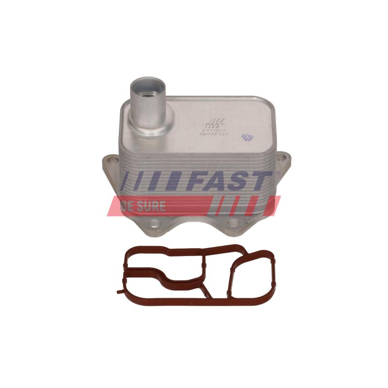 Radiateur d'huile, boîte de vitesse manuelle FAST FT11977 - Visuel 2