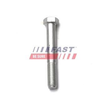 Suspension, ressort à lames FAST FT13349