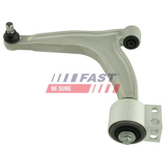 Triangle ou bras de suspension (train avant) FAST