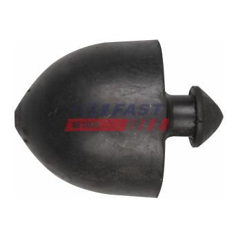 Butée élastique, suspension arrière gauche FAST FT20053