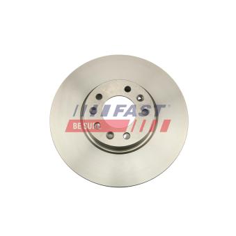 Jeu de 2 disques de frein arrière FAST