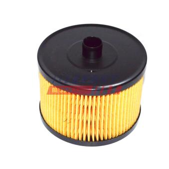 Filtre à carburant FAST