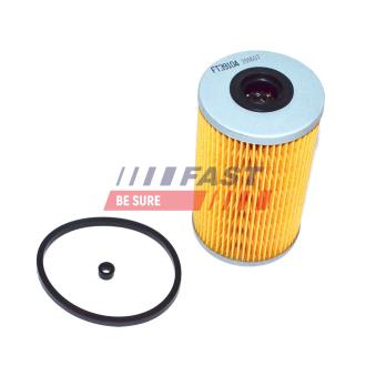 Filtre à carburant FAST