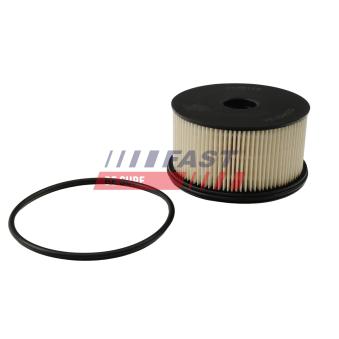 Filtre à carburant FAST FT39113