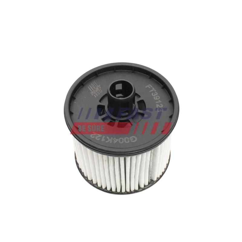 Filtre, unité d'alimentation de carburant FAST FT39123 - Visuel 2
