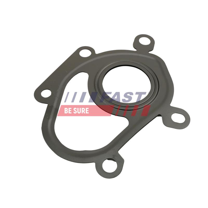 Joint, compresseur FAST FT48806 - Visuel 1