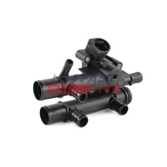 Thermostat d'eau FAST