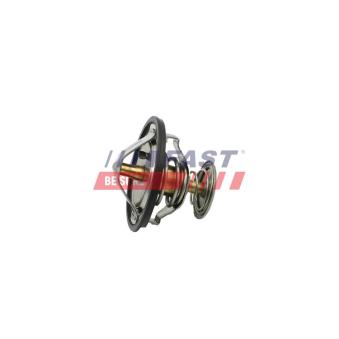 Thermostat d'eau FAST