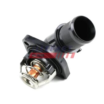 Thermostat d'eau FAST