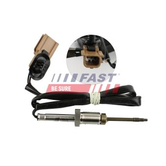 Capteur, température des gaz FAST