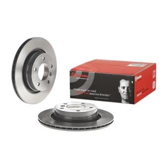 Jeu de 2 disques de frein arrière BREMBO