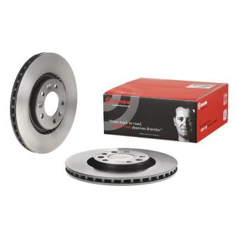 Jeu de 2 disques de frein arrière BREMBO