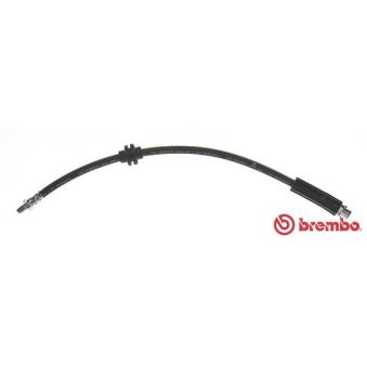 Flexible de frein BREMBO