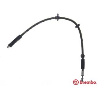 Flexible de frein BREMBO T 06 051