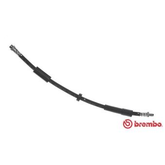 Flexible de frein BREMBO T 11 016