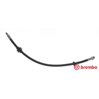 Flexible de frein BREMBO T 23 185