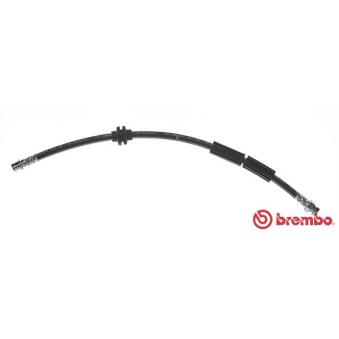 Flexible de frein BREMBO