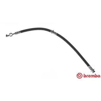 Flexible de frein BREMBO T 49 003