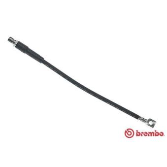 Flexible de frein BREMBO T 59 035