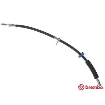 Flexible de frein BREMBO T 61 112