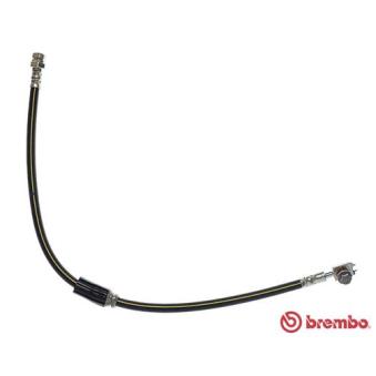 Flexible de frein BREMBO