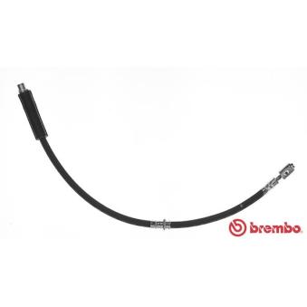 Flexible de frein BREMBO T 85 113