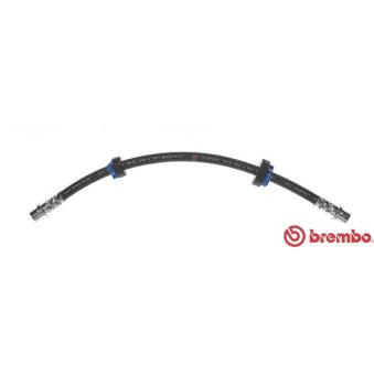 Flexible de frein BREMBO